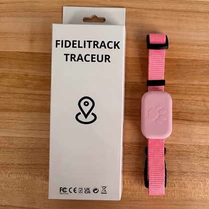 Collier GPS Chat & Chien